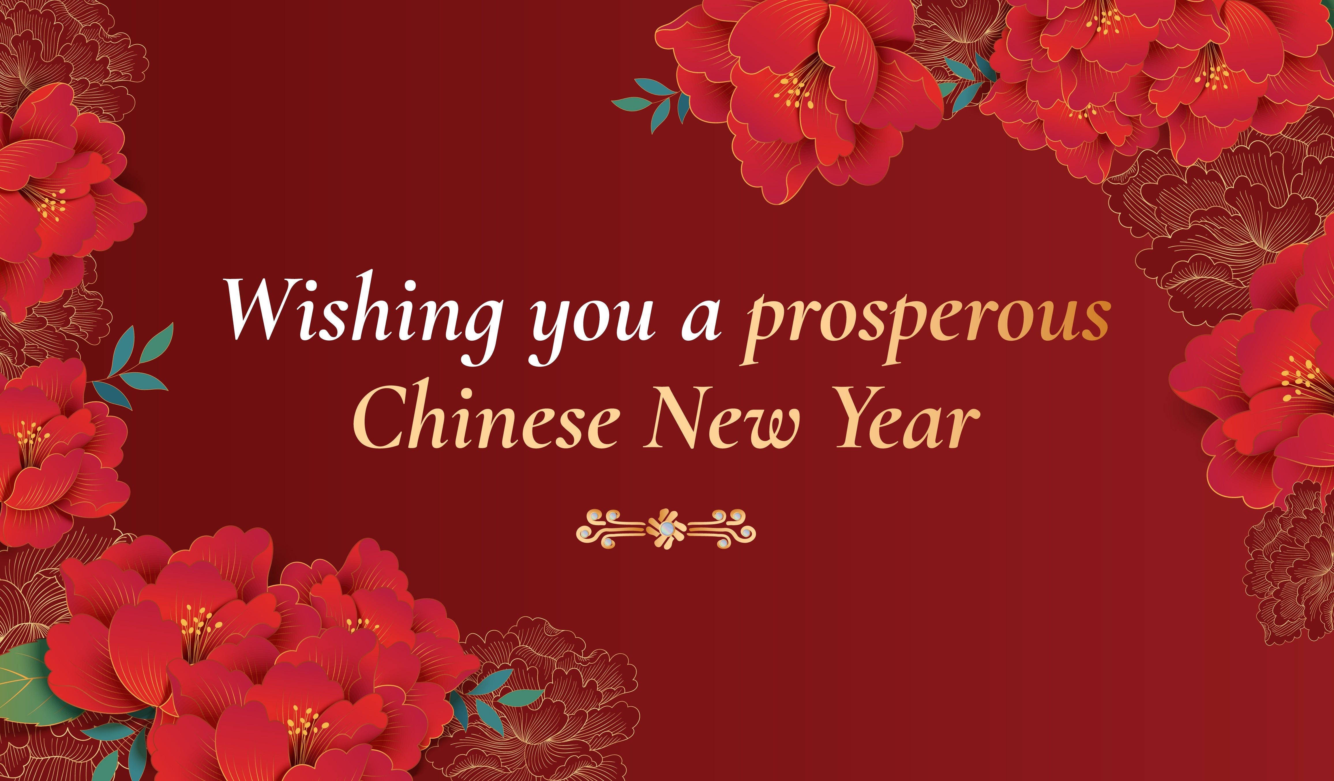 CNY Web Banner_2220x1301